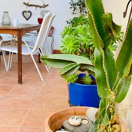 Apartment Playa